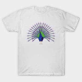 Peacock T-Shirt